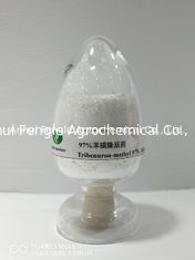 95٪ Tc Tribenuron Methyl Herbicide Powder CAS No.101200-48-0