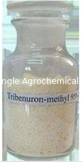 علف کش انتخابی Tribenuron Methyl Herbicide 95٪ Tc برای کنترل علف های هرز پهن برگ