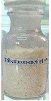 علف کش انتخابی Tribenuron Methyl Herbicide 95٪ Tc برای کنترل علف های هرز پهن برگ