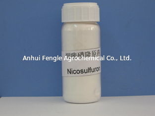 علف کش نیکوسولفورون 97% TC CAS No 111991-0904