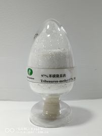 Tribenuron-methyl95٪ TC ، کنترل کشاورزی ، علفهای هرز برگ چپ کنترل ظهور
